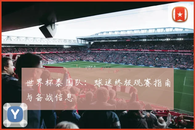 世界杯泰国队：球迷终极观赛指南与备战信息